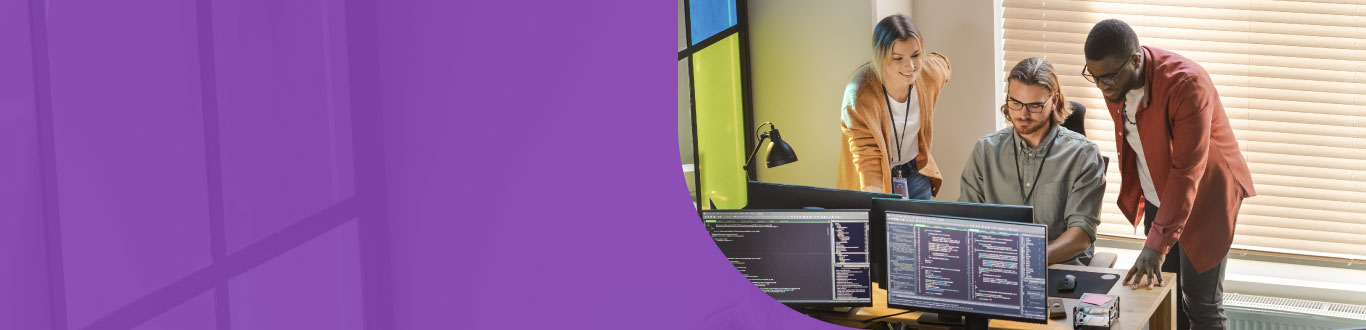 Software Reverse Engineering