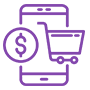 Electronic money institutions