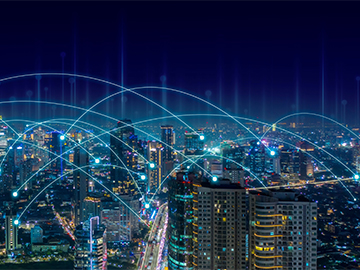 Digital Services Delivery