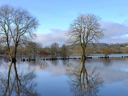 Natural Resources Wales: Flood Forecast Web Service