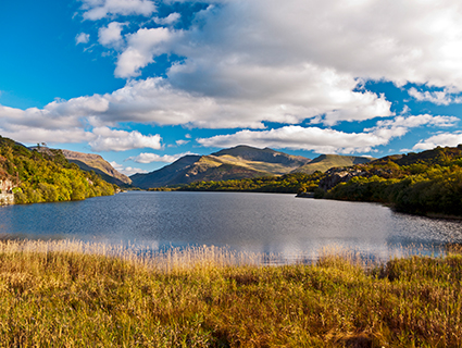 Natural Resources Wales: Water abstractions returns system