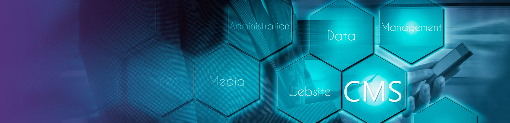  (Content Management System)