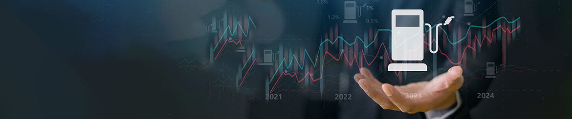 Fuel Price Optimization Gains