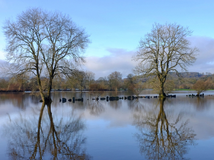 Natural Resource Wales